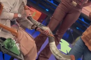 日本國家隊集結！表面上看這只日本隊不壯也不高竟然這么強