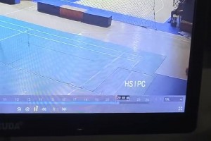 打球遇到這種報警有用嗎？這完全奔著廢人去的啊